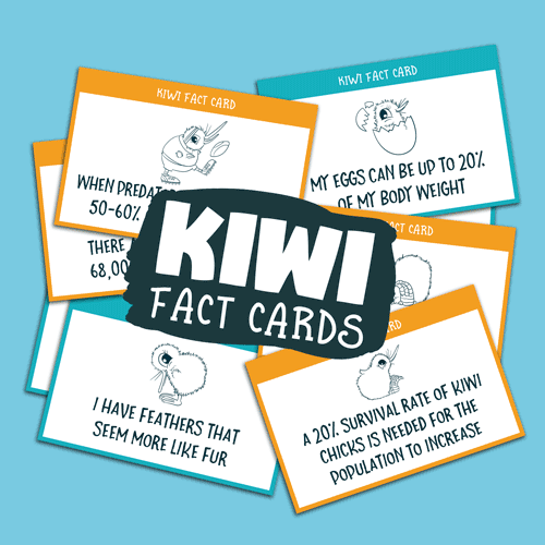 The Great Kiwi Morning Tea