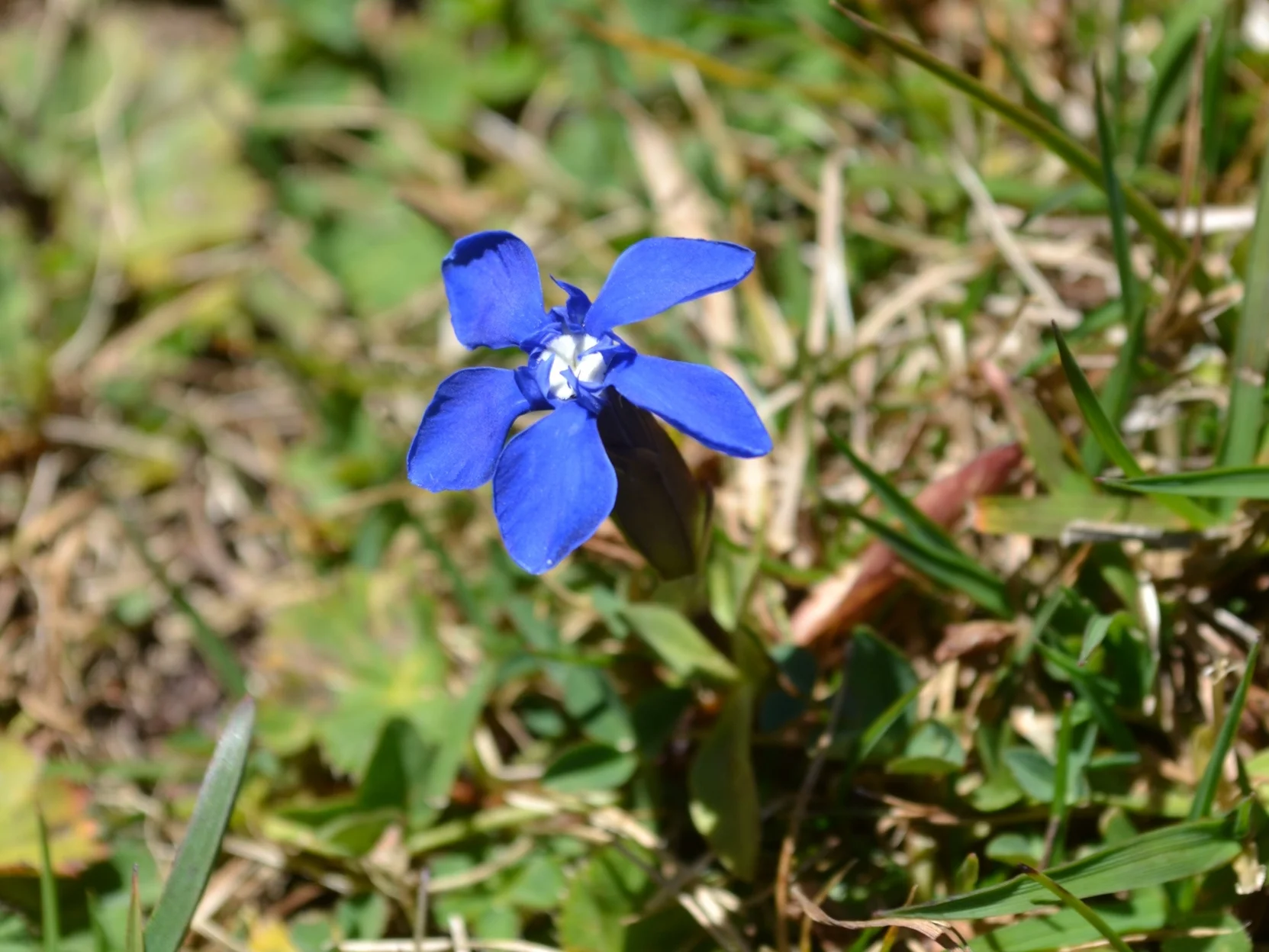 DSC_0746.JPG