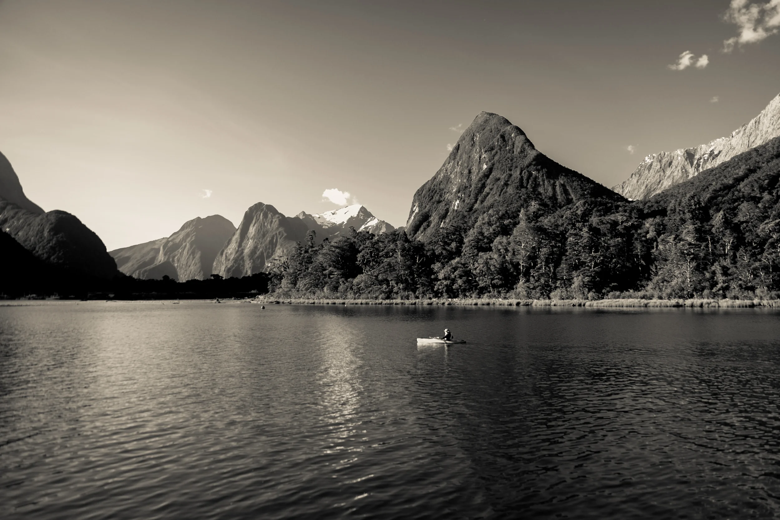 untitled (454 of 1120).jpg