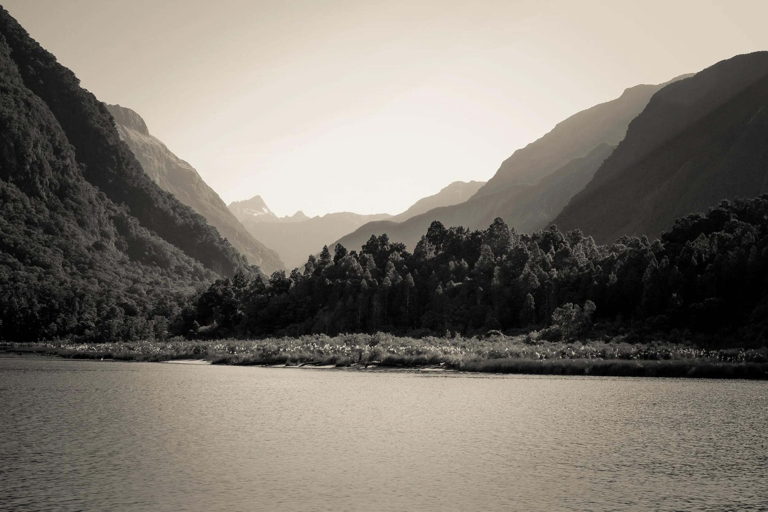 untitled (687 of 1120).jpg