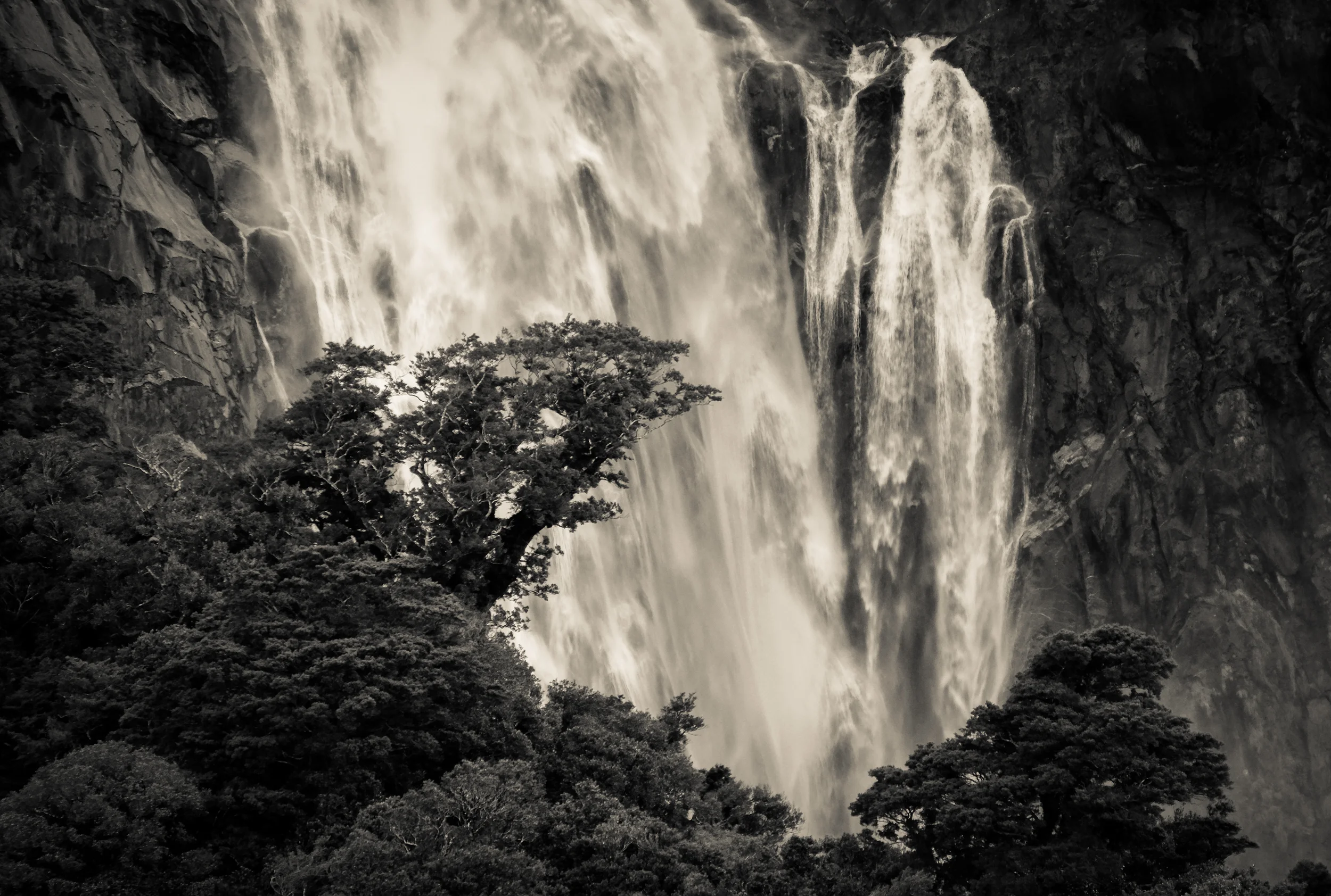 untitled (745 of 1120).jpg