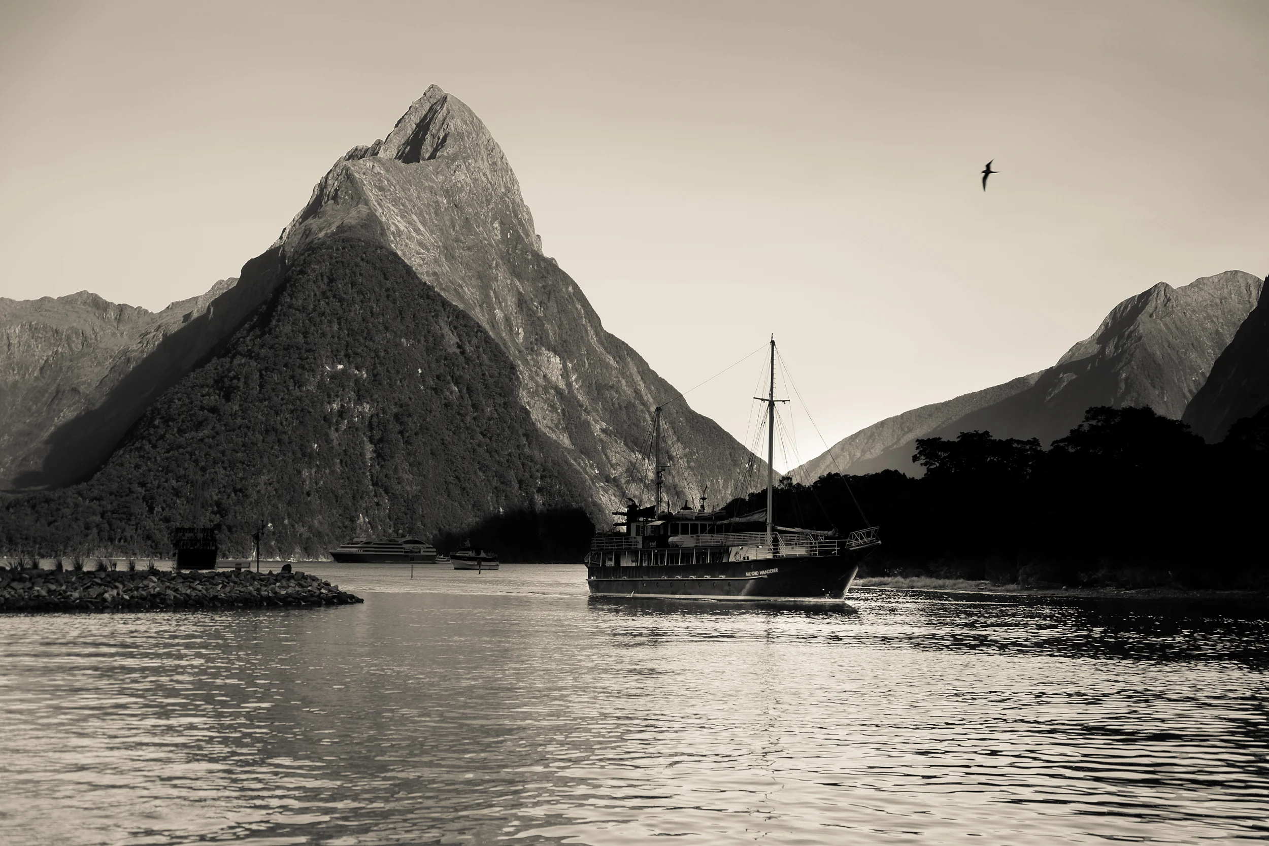 untitled (773 of 1120).jpg