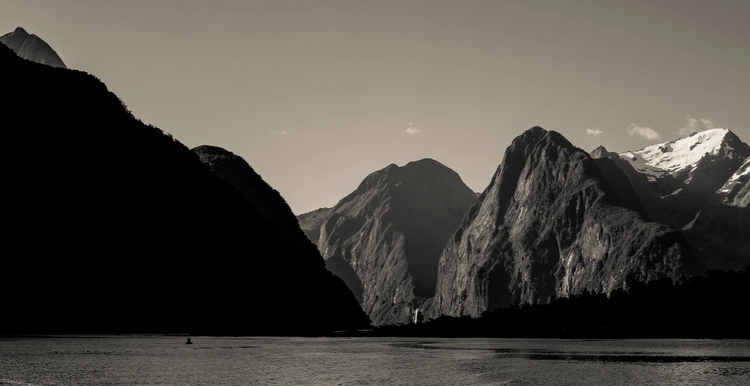 untitled (1061 of 1120).jpg