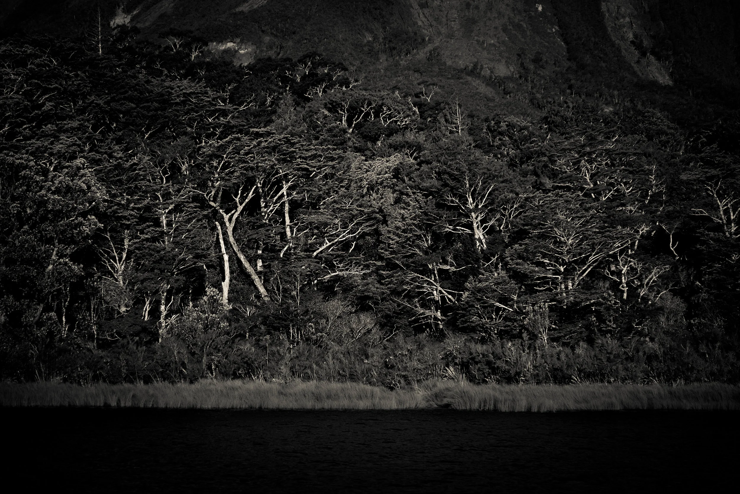 untitled (1102 of 1120).jpg