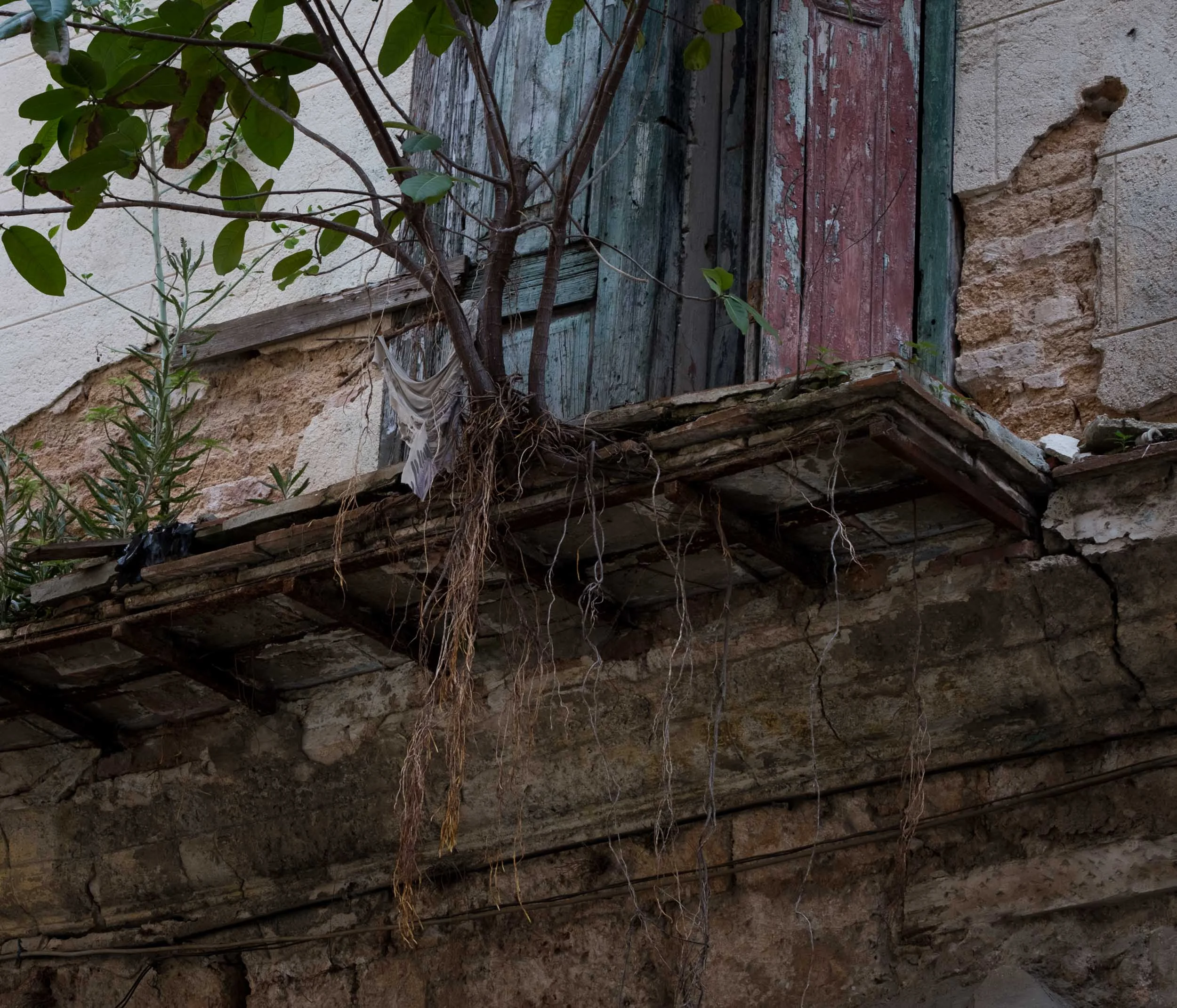 DSCF3964.jpg