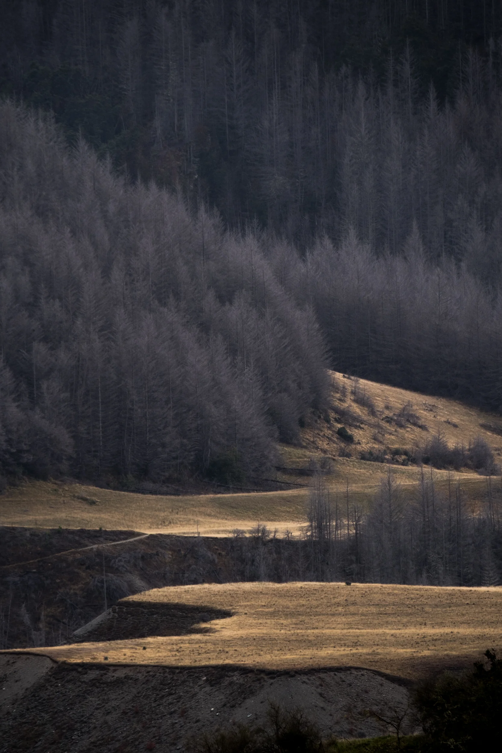 XT2X0174.jpg