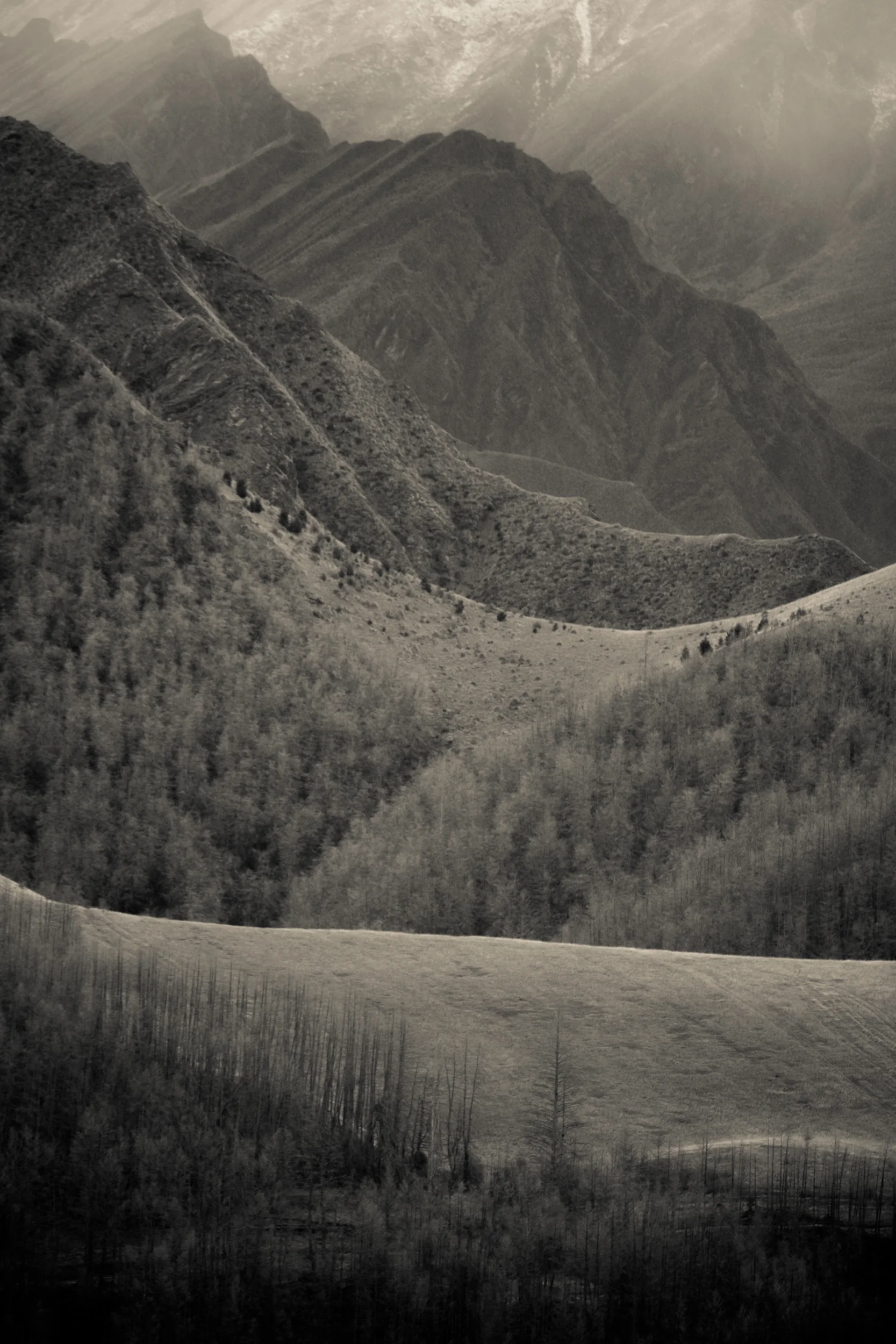 XT2X0236.jpg