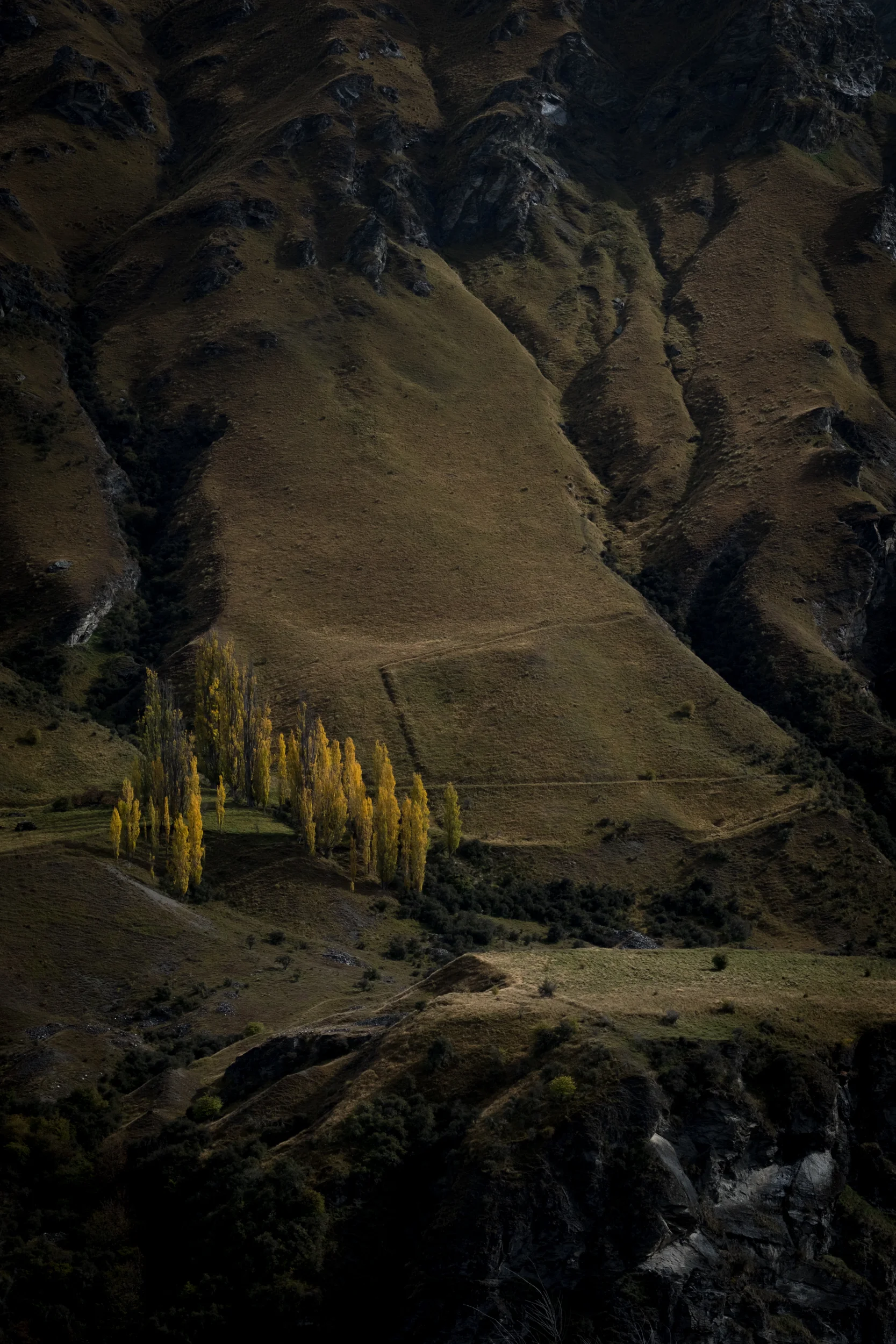XT2X0260.jpg