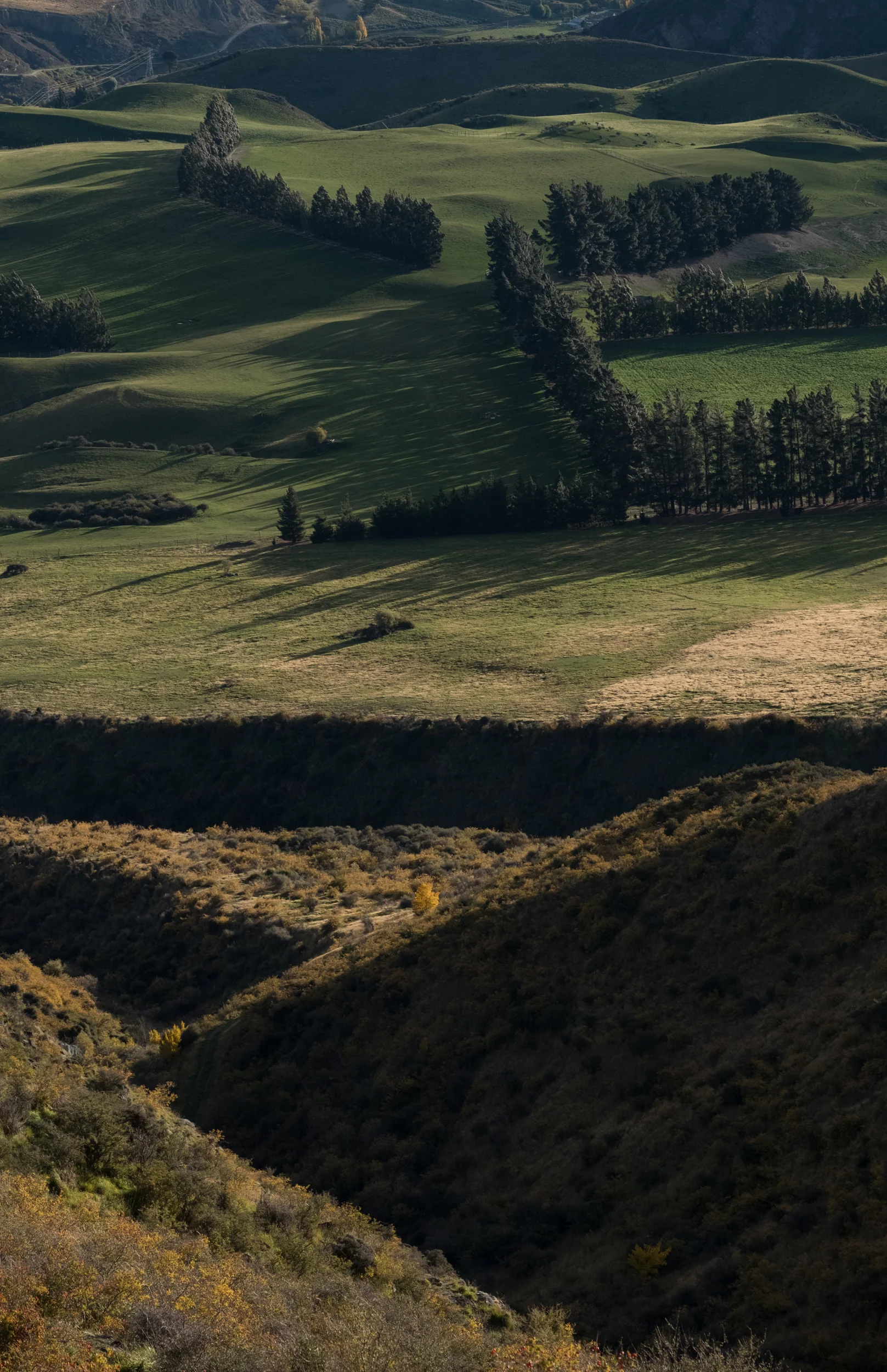 XT2X1473.jpg