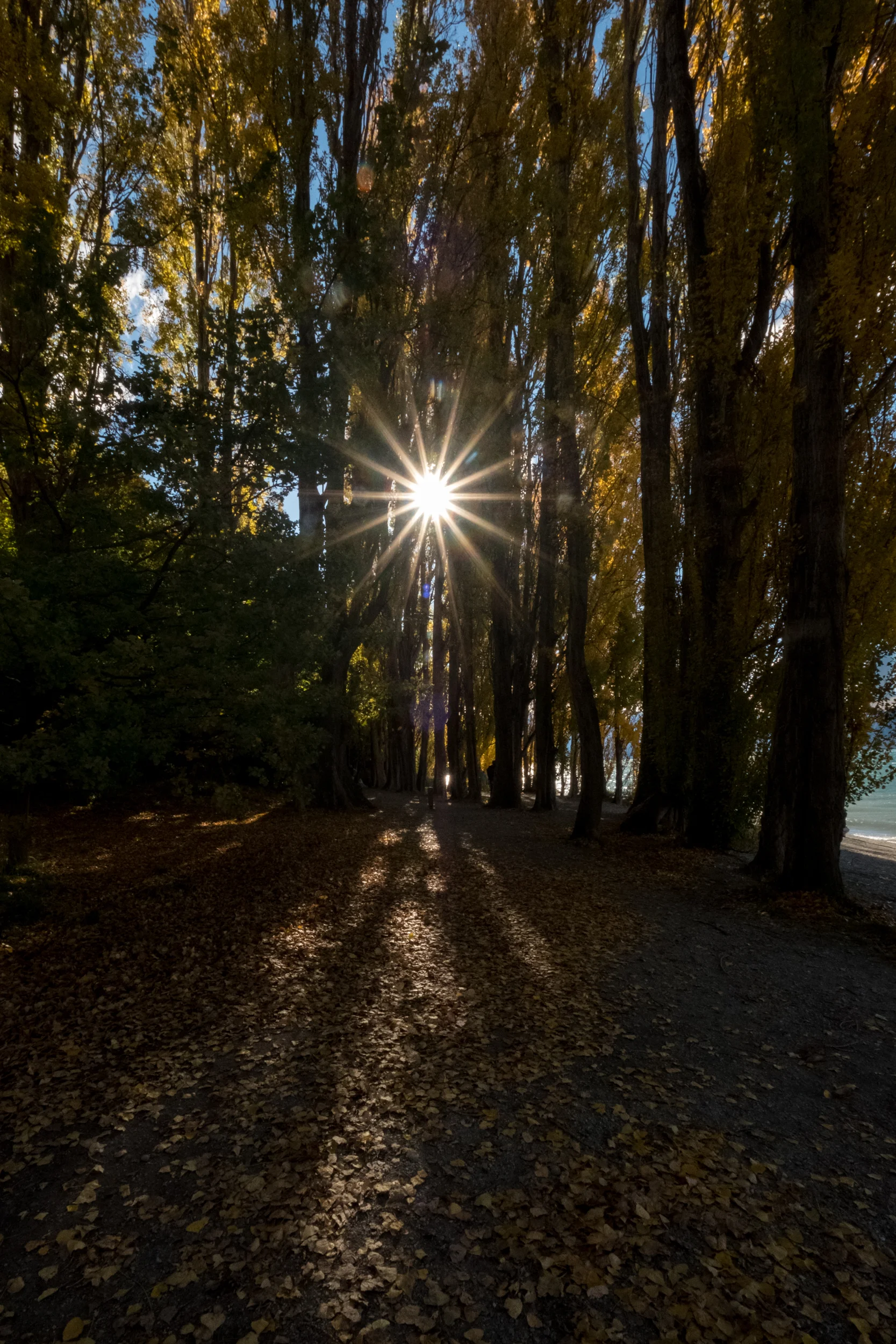 XT2X1387.jpg