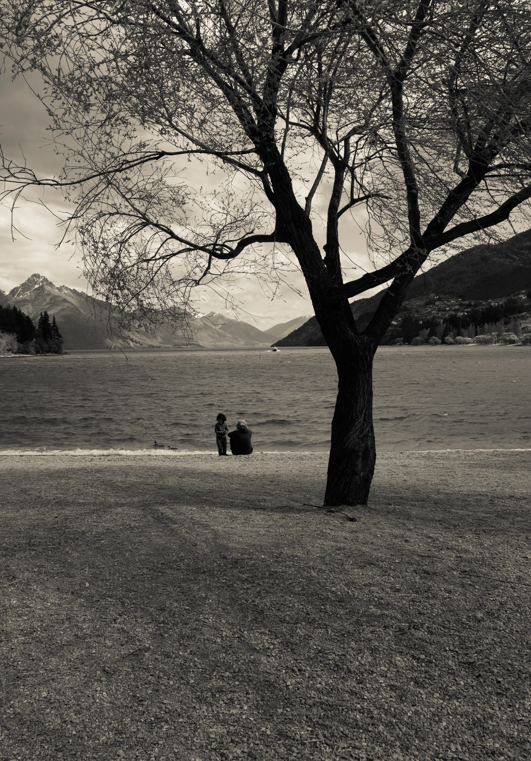 Otago 2015-0666.jpg