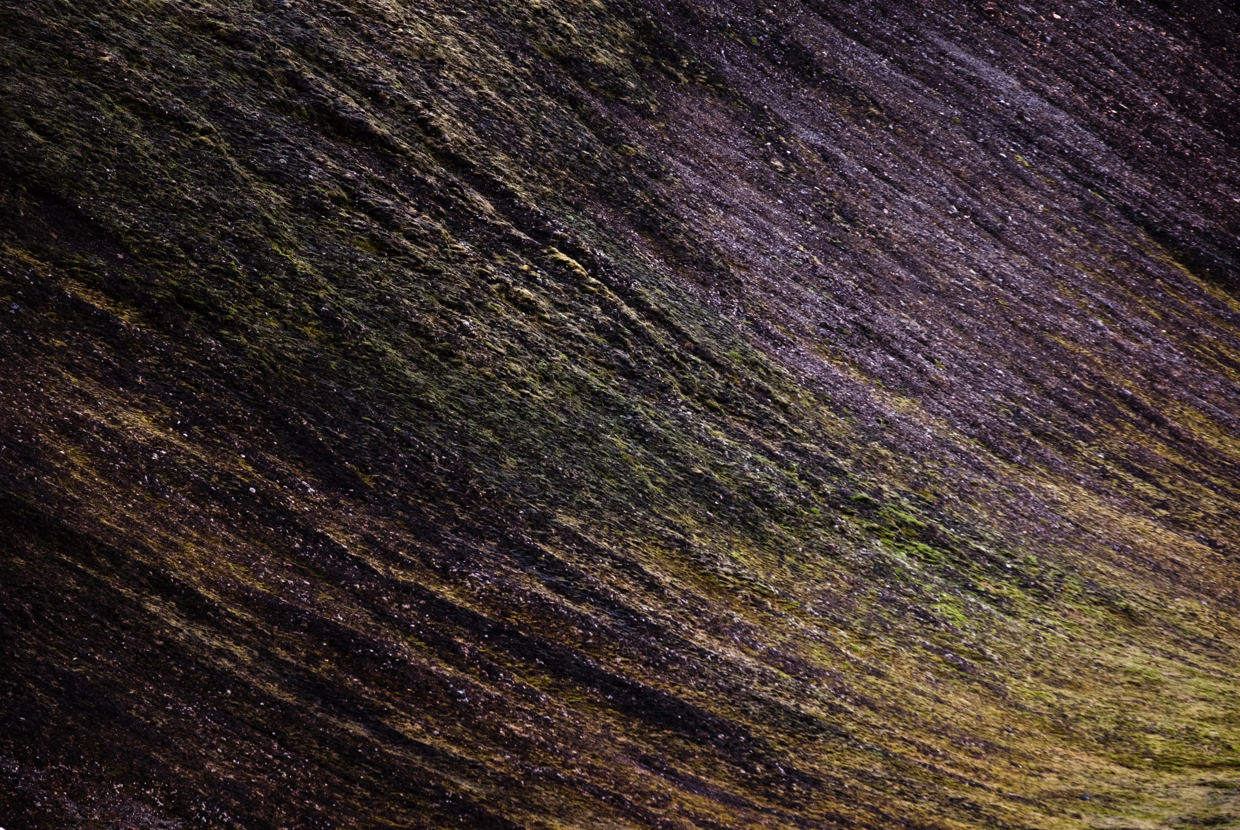 XT2X3625.jpg