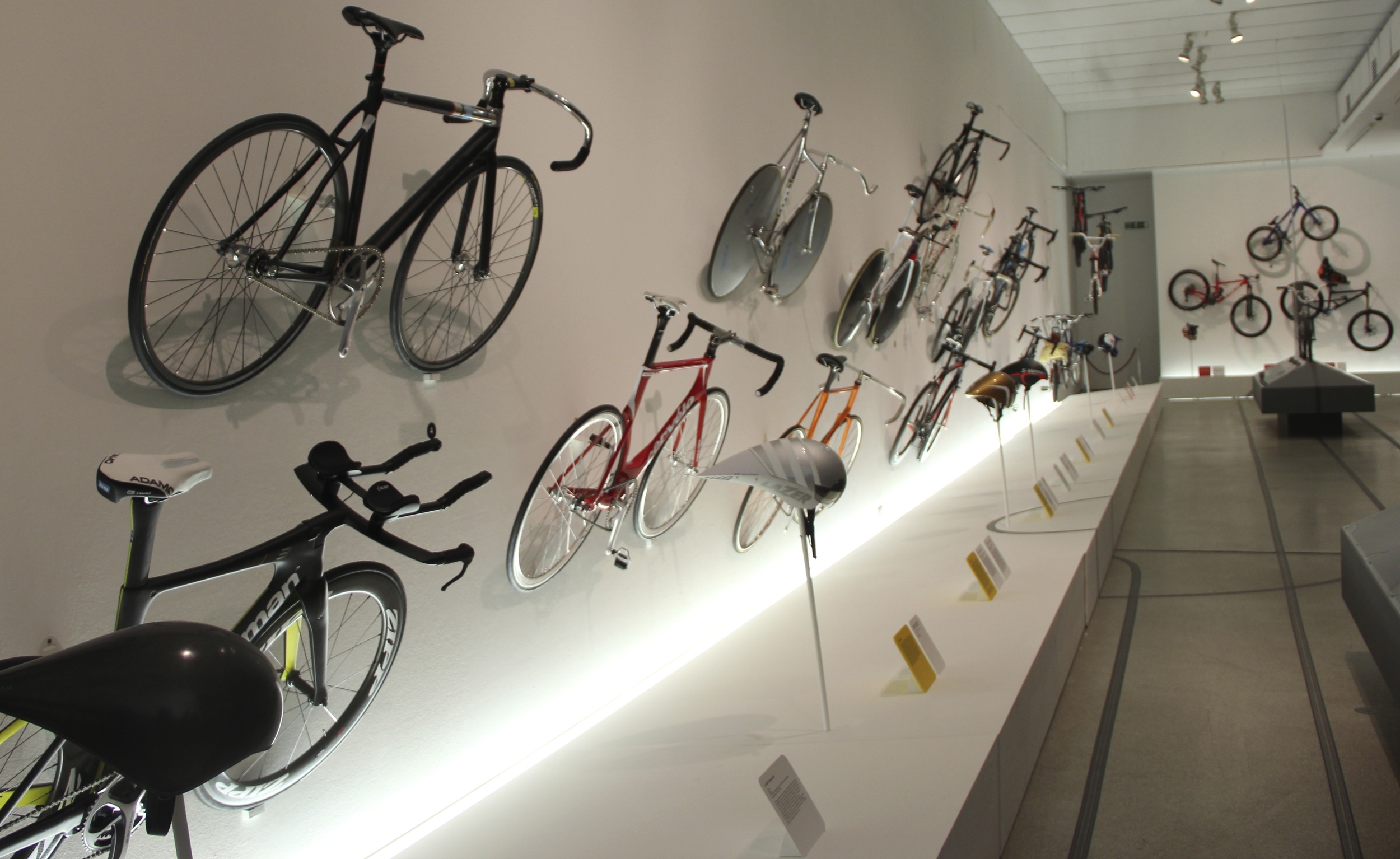 From the High Performers (pros) to the Thrill Seekers (BMX, MTB riders)