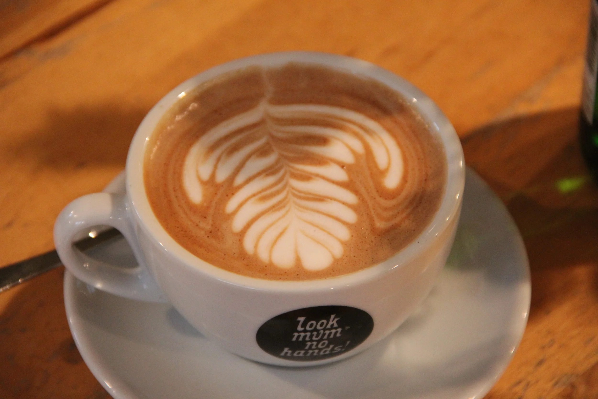 Coffee for all tastes at LMNH!