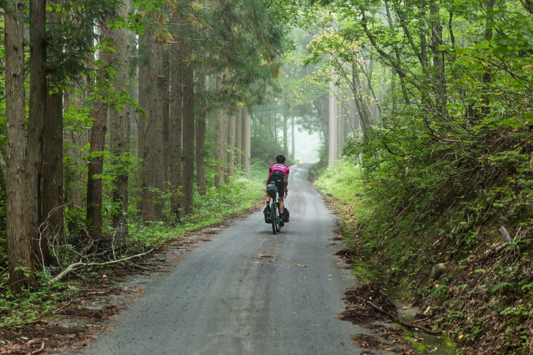 The Japanese Odyssey gives you plenty of opportunities to explore the stunning Japanese landscape