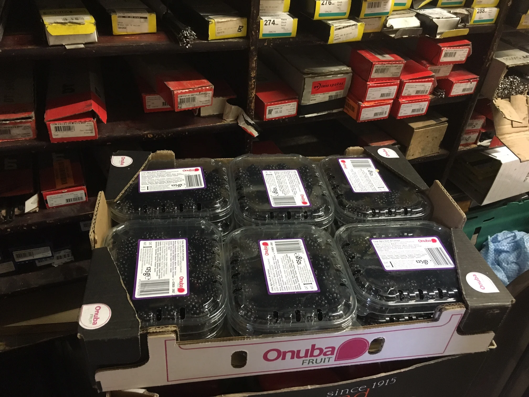 Blackberries and brake pads - the Look Mum basement