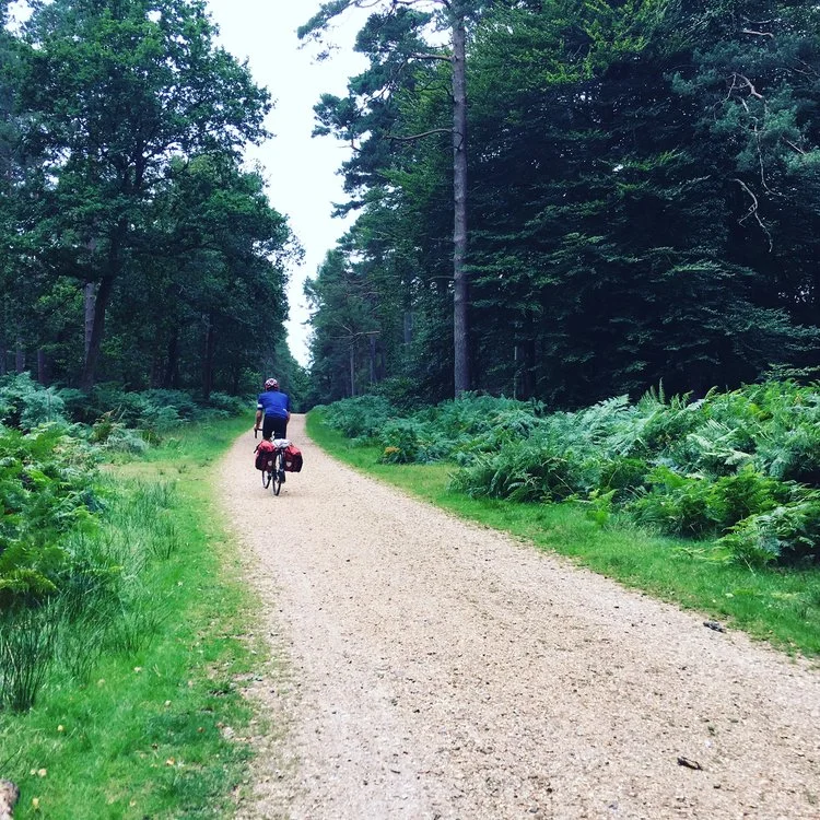 Cycle-touring through the New Forest