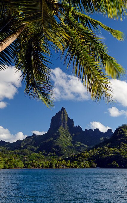 Mystical Moorea // November 2 - 8, 2024 - SOLD OUT