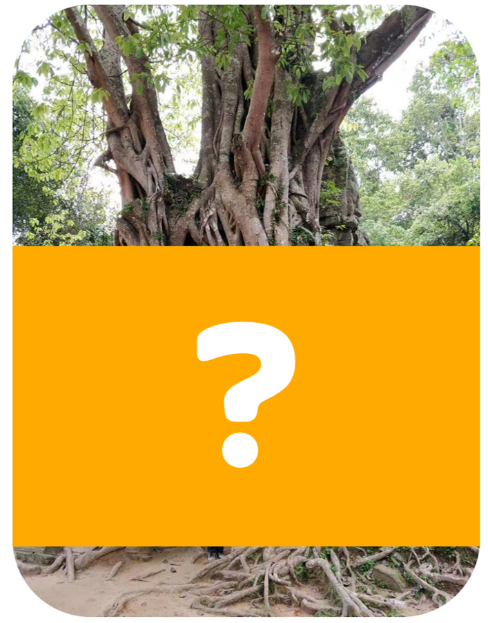 Lie about the Photo Covered.PNG