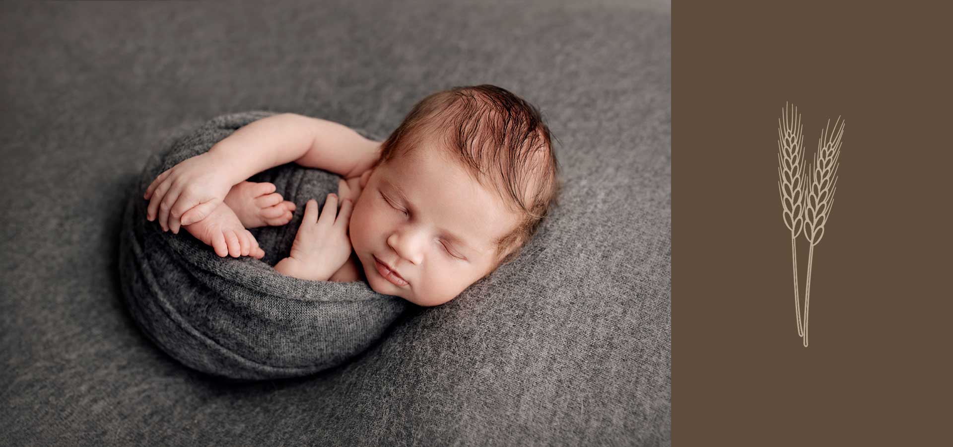 Newborn-Photography-Shepparton.jpg