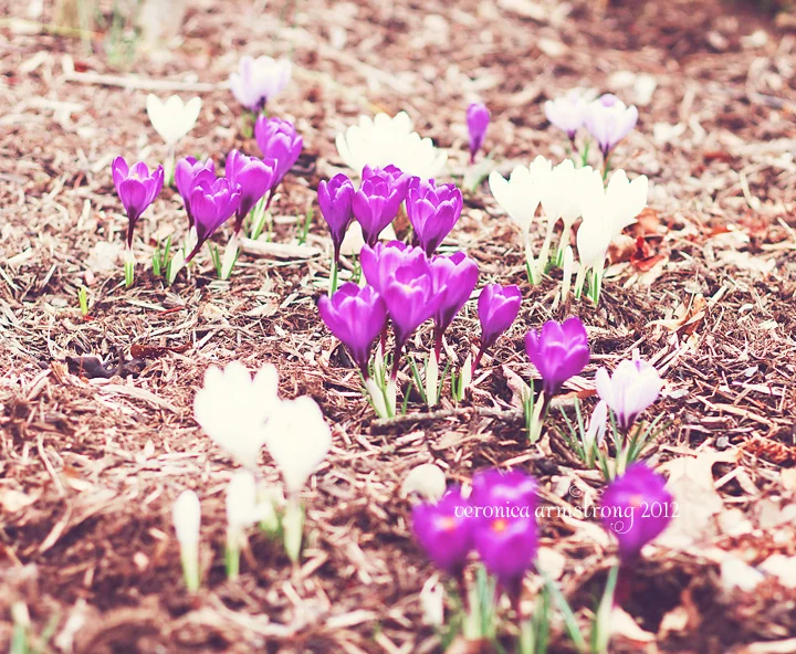 a note to my fellow little guys