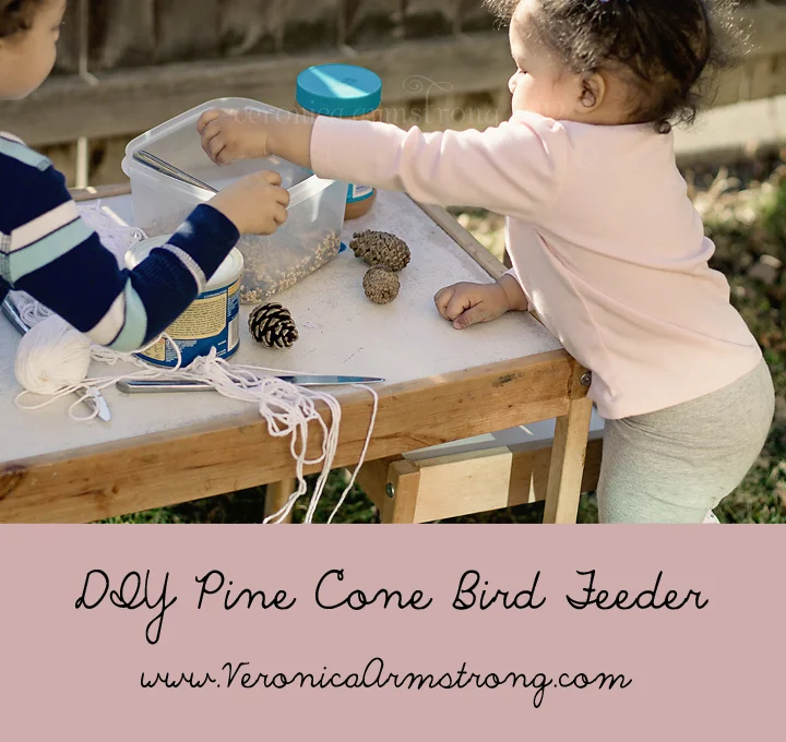 DIY Pine Cone Bird Feeder