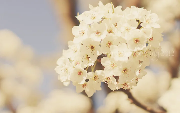 Leap into spring...even if it feels like winter.