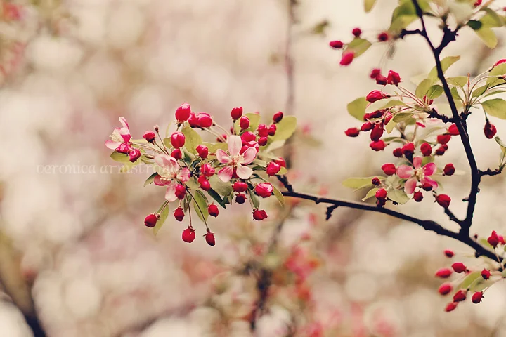 It's spring! Time to get pretty.