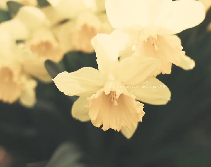 Too much learning. Not enough doing. My passion rut.