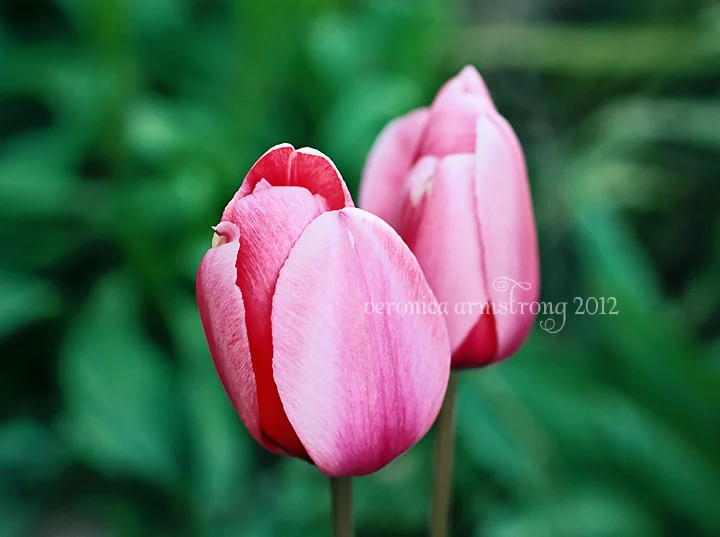 I'm tired but it's gorgeous outside so who cares?!?