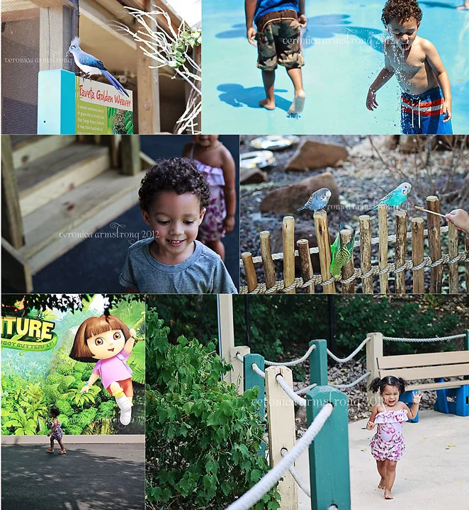 We love the Indianapolis Zoo