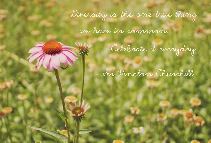 Brands behaving badly. Maytag edition. - Update