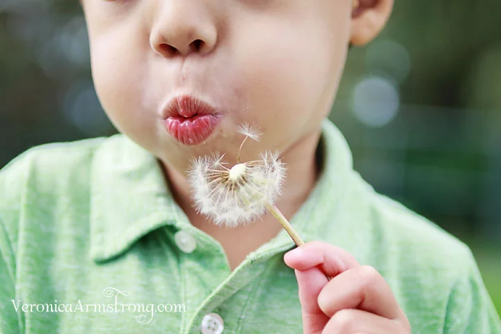 How to critique your own photographs