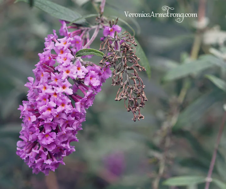 Link love & pimping my blog.