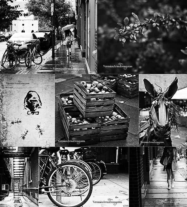 2012 Clickinmoms ClickinWalk Ithaca, New York