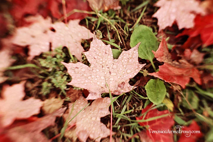 Simple Things Sunday. Autumn's smile. 