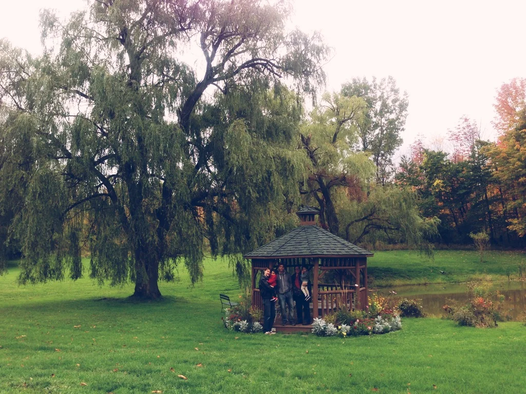 Photo a day catch up.