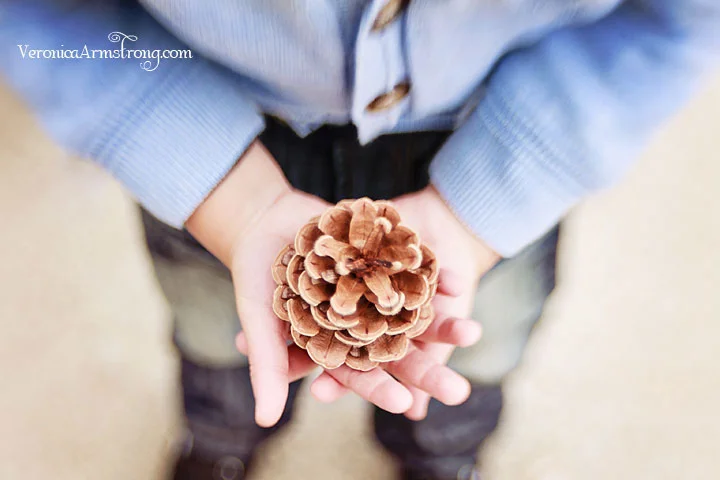 Lensbaby Composer Pro with Sweet 35mm Optic Review