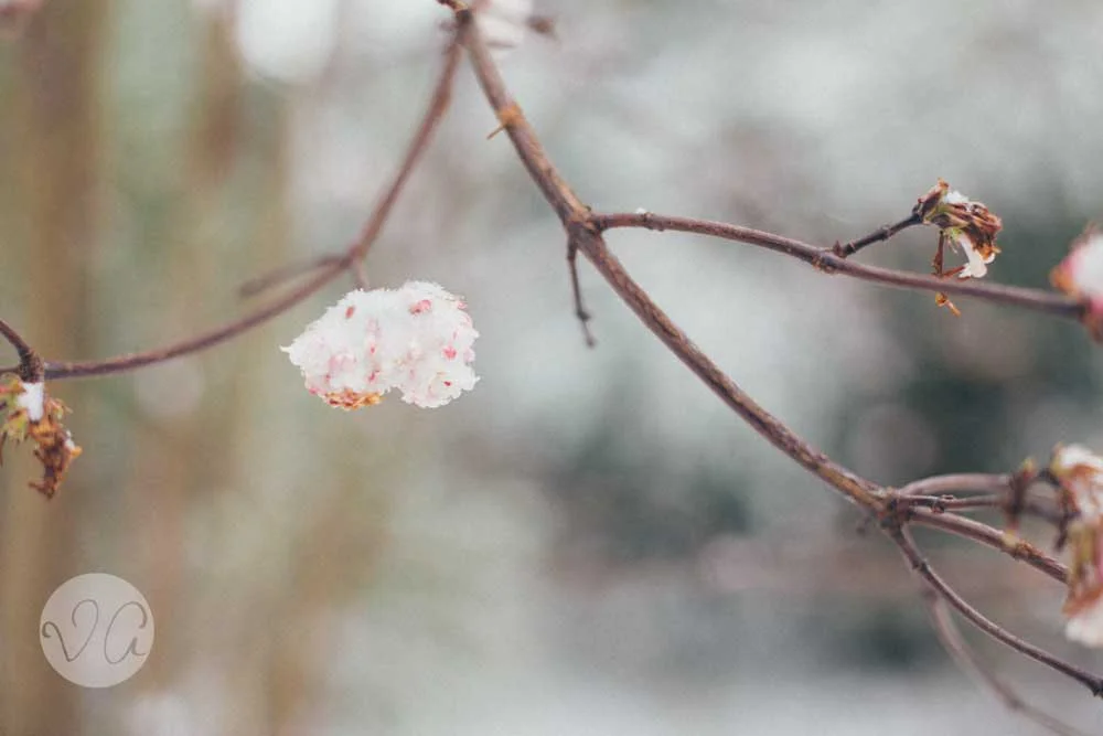 You Can Find Me. Volume I.