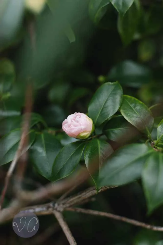 You Can Find Me. Volume 2.