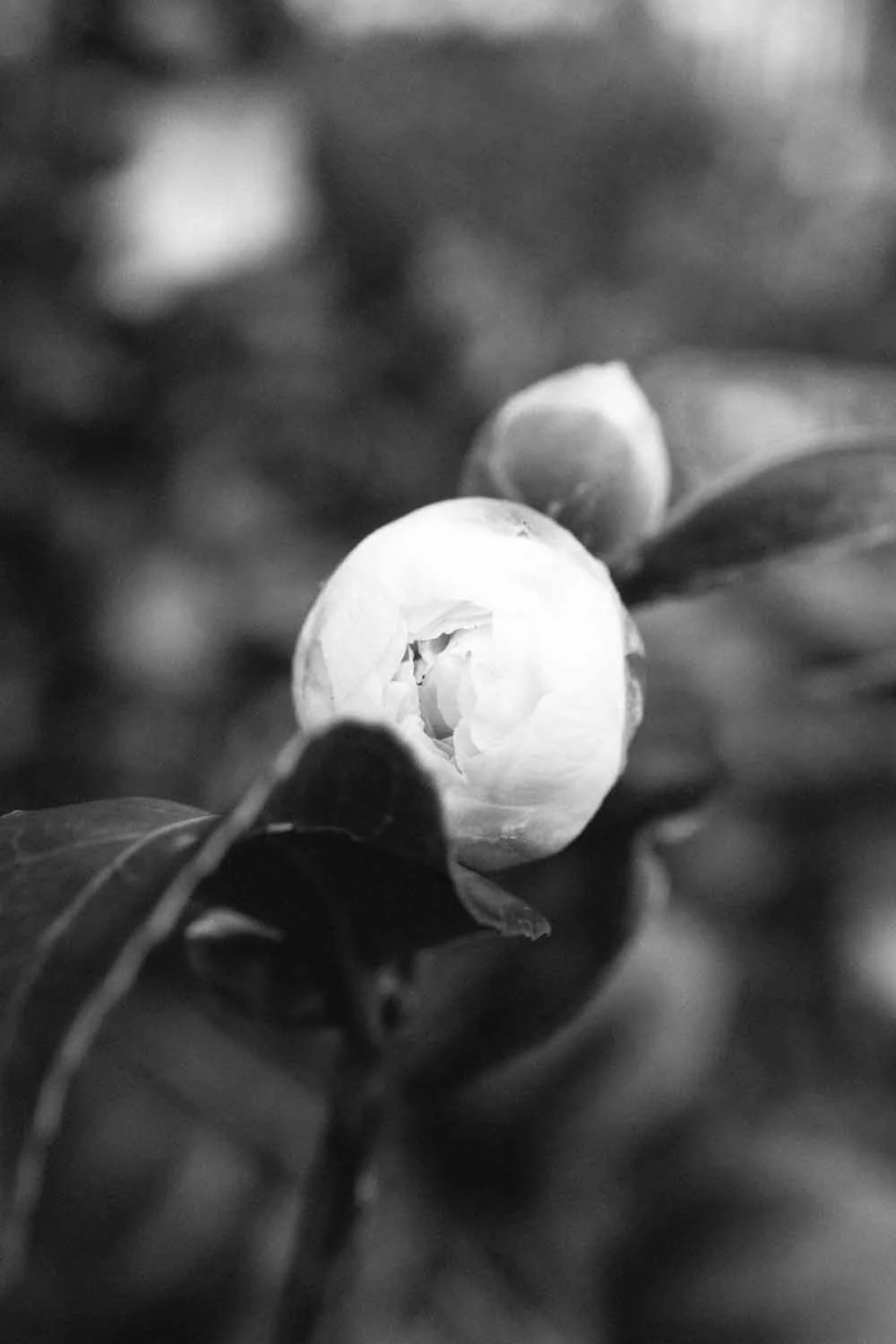 You can find me. Volume III