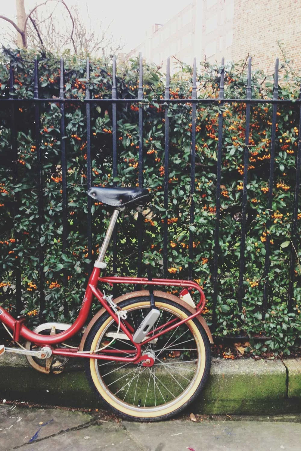 Intro to iPhoneography: Getting to know your iPhone camera