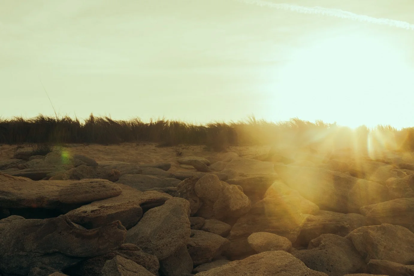 veronica-armstrong-beach-lensbaby-1
