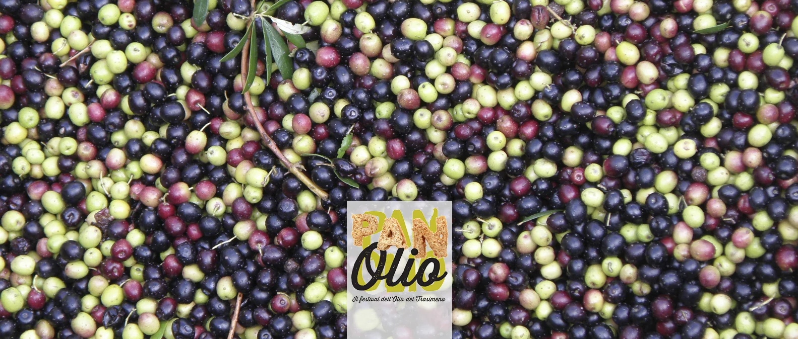 header programma.jpg