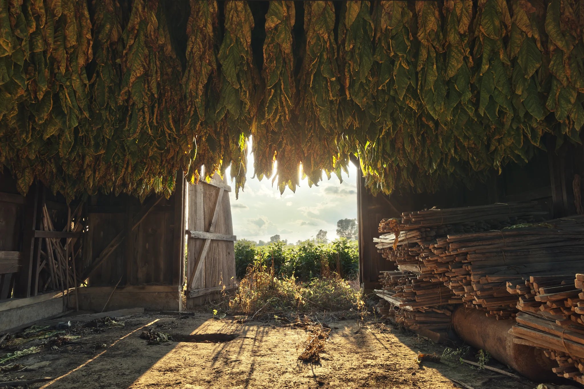 2014_Brandon-Tigrett_Scottsdale_Kentucky_Landscape_Country_Barn_Retouched_WEB_Portfolio.jpg