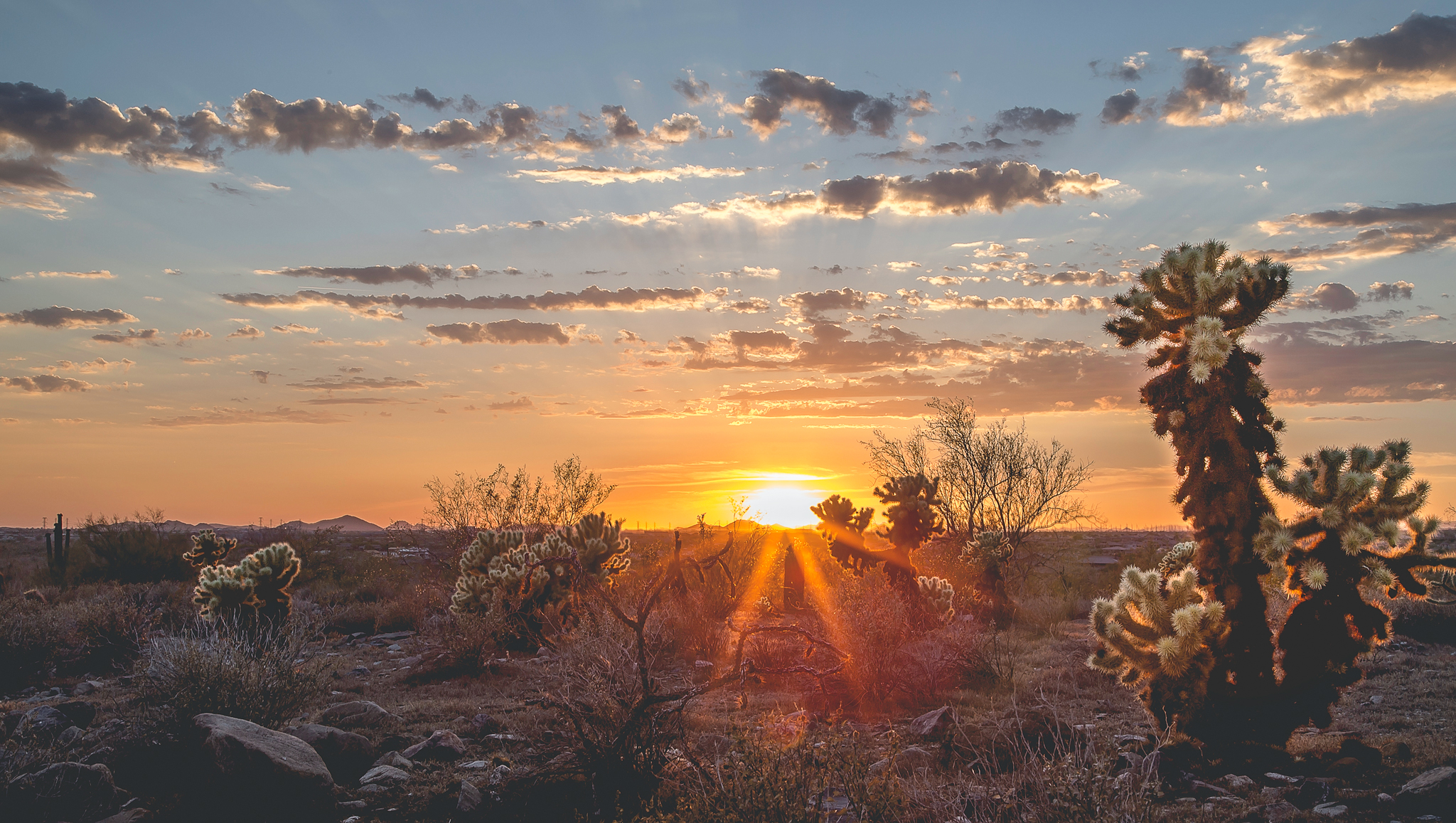 2014_Brandon-Tigrett_Scottsdale_Landscape_Sunset-6-16-14-18_Retouched_WEB_Portfolio.jpg