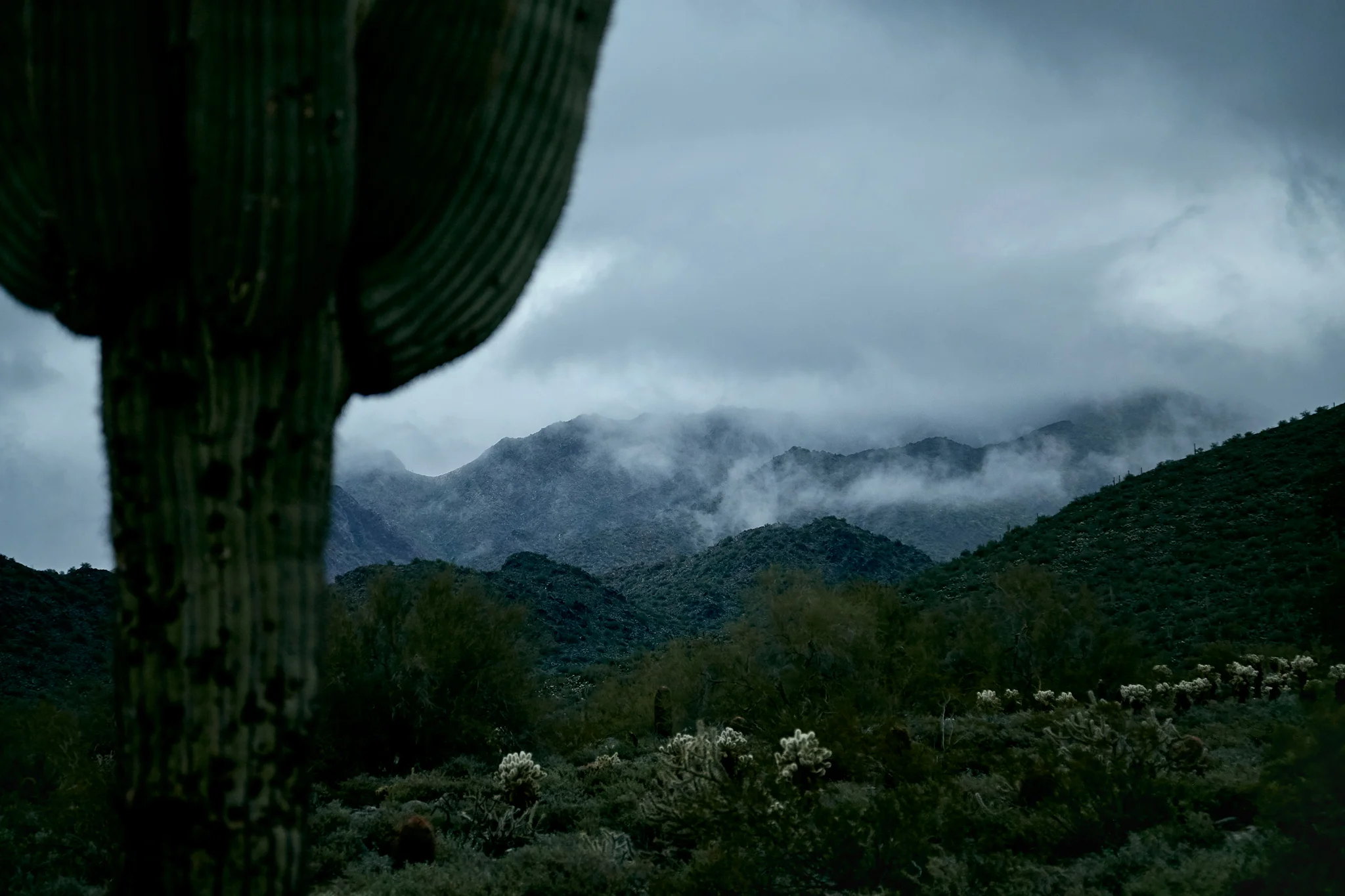 2015_Brandon-Tigrett_Scottsdale_IG-07_Retouched_WEB_Portfolio.jpg