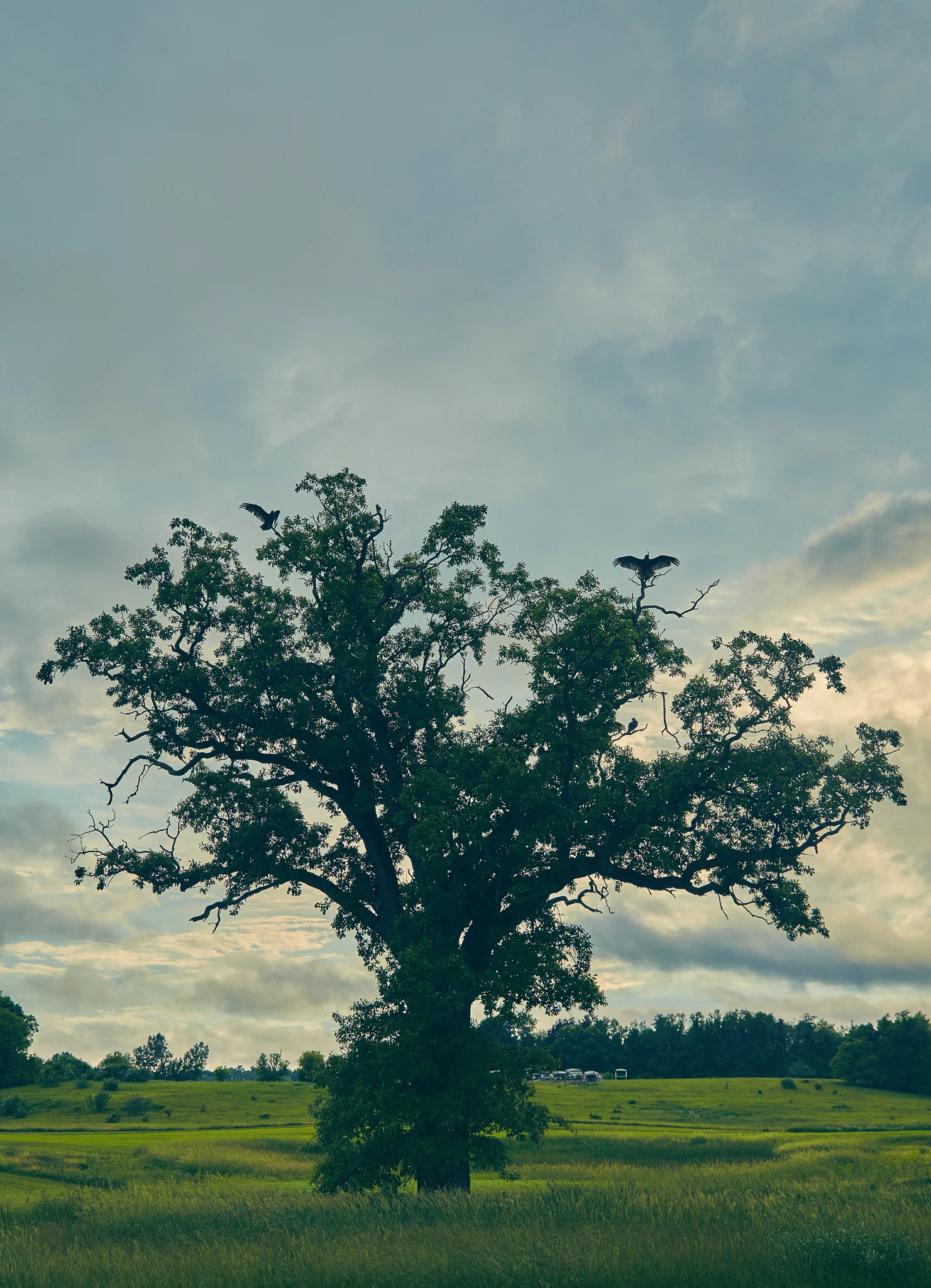 2015_Brandon-Tigrett_Scottsdale_Indiana-grams-day3-214_Full_Retouched_WEB_Portfolio.jpg