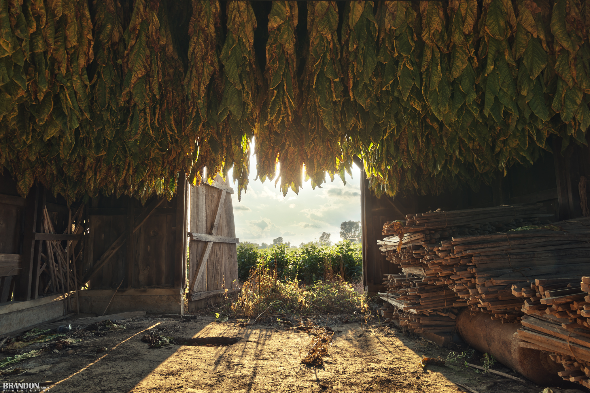 "Tobacco Barn" | 500px Editors' Choice | How It Was Made