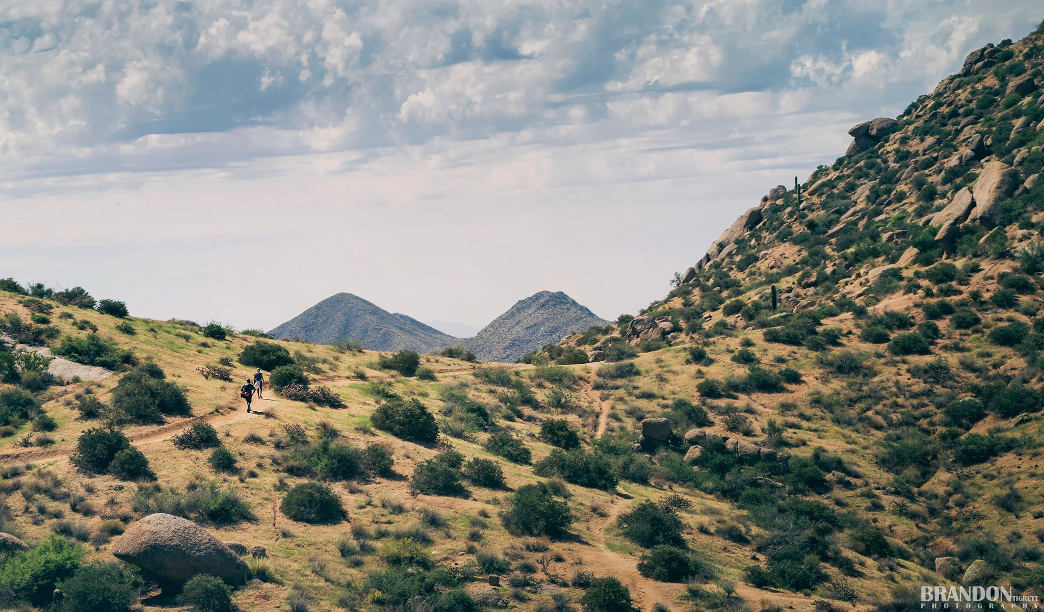 2014_Brandon-Tigrett_Scottsdale_8-18-14_Toms_Thumb-18_Retouched_WEB-Facebook.jpg